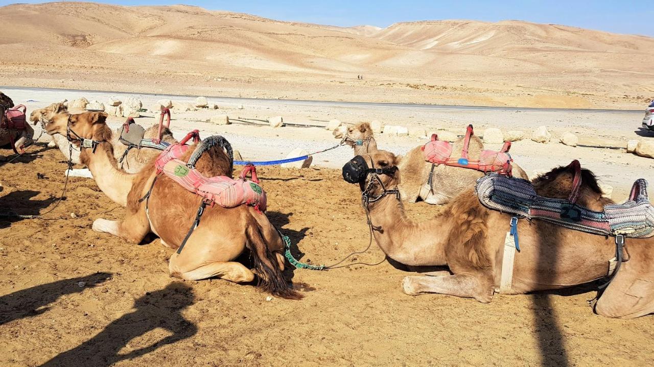 Dead Sea Sun Guest House Arad Esterno foto